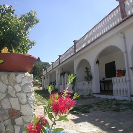 B&B La Formichina Пешичи Екстериор снимка