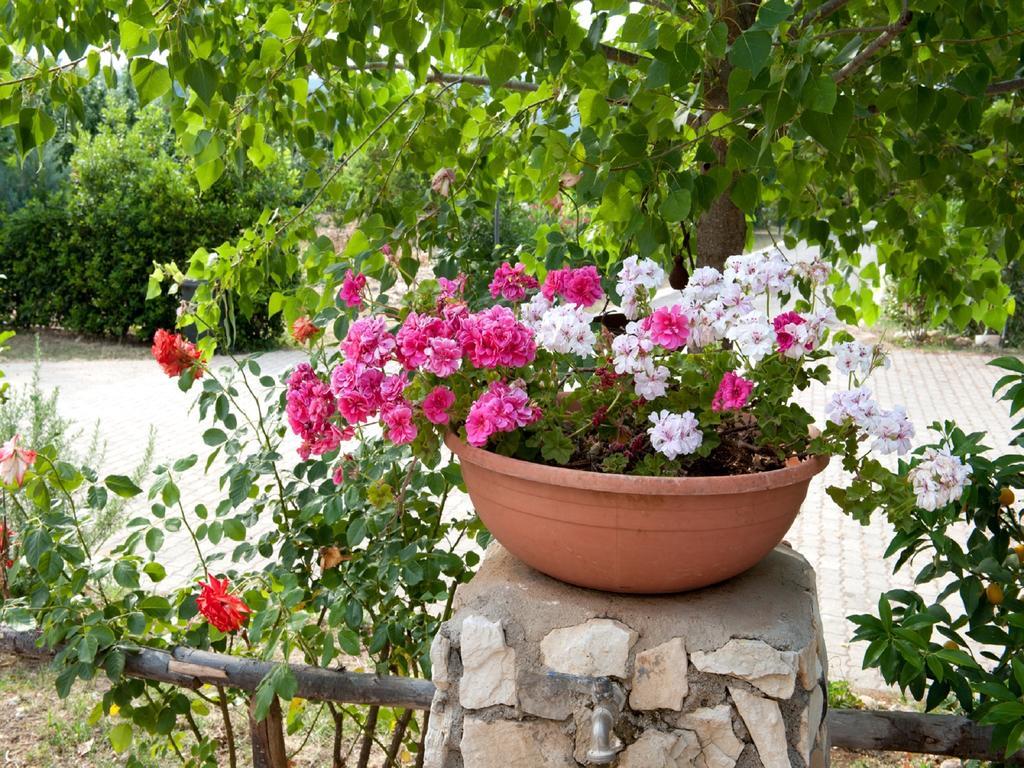 B&B La Formichina Пешичи Екстериор снимка