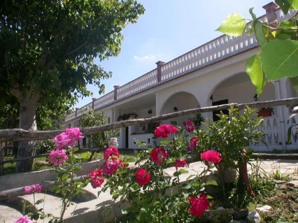 B&B La Formichina Пешичи Екстериор снимка